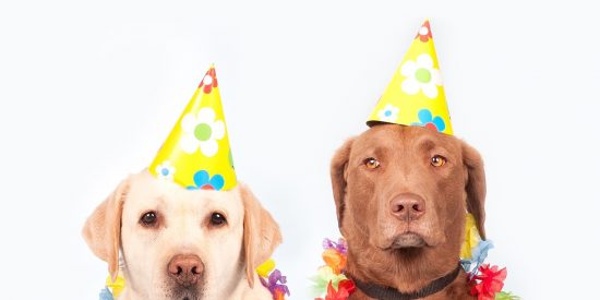 Mascotas de Carnaval