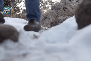 Hombre mata a un puma con sus propias manos