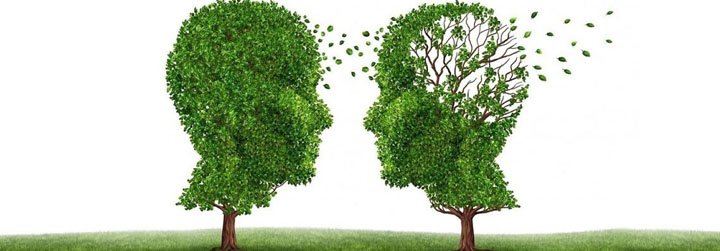 El proceso de limpieza de las c&eacute;lulas cerebrales es clave en el Alzheimer
