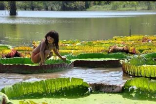 El S&iacute;nodo para la Amazon&iacute;a se celebrar&aacute; en Roma del 6 al 27 de octubre