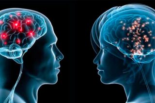 El 'reloj' del cerebro funciona de manera diferente en el autismo