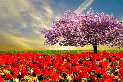 Península Ibérica: Llega la primavera en invierno con temperaturas de más de 20ºC