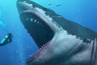 El Megalod&oacute;n daba a luz cr&iacute;as can&iacute;bales del tama&ntilde;o de un humano