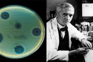 Cuatro investigaciones cient&iacute;ficas que parec&iacute;an absurdas pero brillaron con resultados geniales