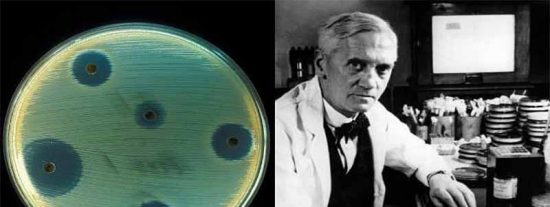 Cuatro investigaciones cient&iacute;ficas que parec&iacute;an absurdas pero brillaron con resultados geniales
