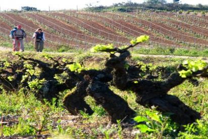Ruta del Vino del Bierzo... lo tiene todo