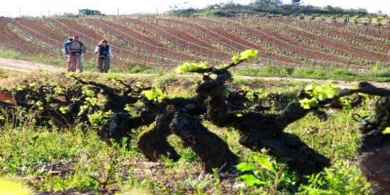 Las minas de carb&oacute;n espa&ntilde;olas resurgir&aacute;n como enormes bater&iacute;as de agua para almacenar electricidad