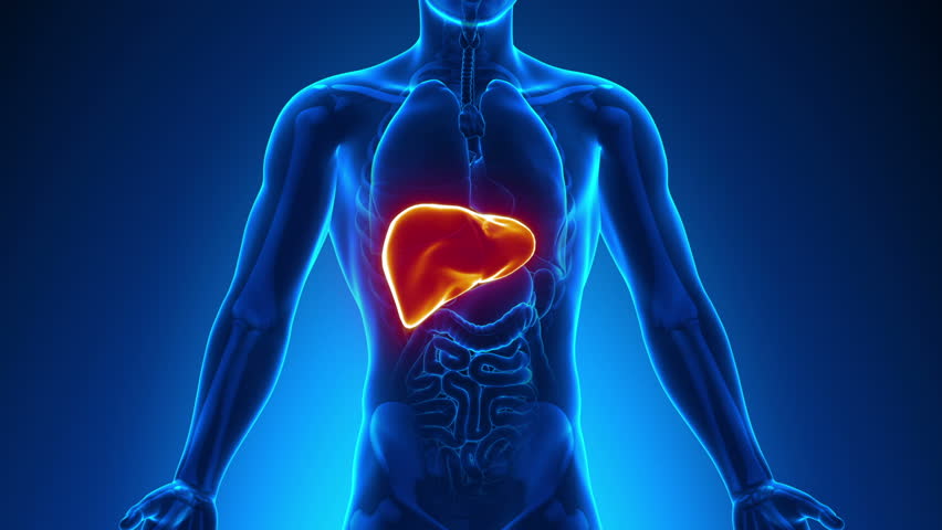 Un an&aacute;lisis de sangre que detecta de forma temprana el h&iacute;gado graso no alcoh&oacute;lico