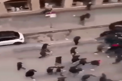 As&iacute; fue la batalla campal entre ultras del Bayern y Wolfsburgo