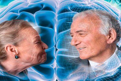 Este chip electr&oacute;nico imita al cerebro para crear recuerdos en un instante