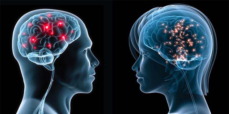 'Radiology': Una t&eacute;cnica de impulsos de ultrasonido de onda corta es m&aacute;s eficaz para administrar f&aacute;rmacos al cerebro