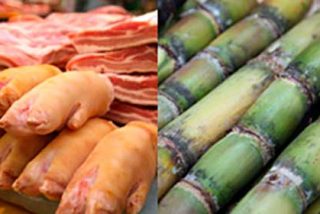 &iquest;Cu&aacute;l es el secreto de los japoneses para disfrutar de una vida saludable?