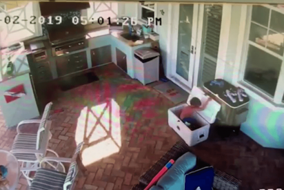 &iexcl;Juegos peligrosos! Una madre desesperada por fin encuentra a su hijo atrapado en una hielera