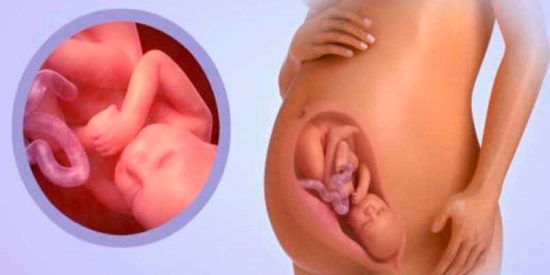 El riesgo de aborto espont&aacute;neo est&aacute; relacionado con edad de la madre y los antecedentes de embarazo