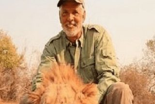 Los cazadores se averg&uuml;enzan de este idiota que mat&oacute; a un le&oacute;n dormido