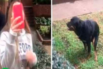 #LadyPop&oacute;, as&iacute; bautizan a esta guarrindonga 'ecologista' por no recoger las porquer&iacute;as de su perro
