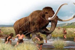 La extinción del mamut lanudo se aceleró hasta en 4.000 años por culpa de los humanos