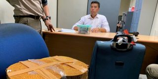 Un ruso intenta llevar a un orangut&aacute;n de contrabando en su equipaje de mano