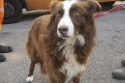 Estas son las 20 cosas m&aacute;s raras olvidadas en un Uber