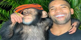 El chimpanc&eacute; instagramer se hace viral por su h&aacute;bil manejo del m&oacute;vil