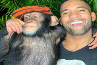 El chimpancé instagramer se hace viral por su hábil manejo del móvil