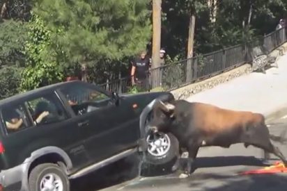 El coche contra el toro