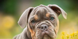 Pron&oacute;stico del Tiempo para este viernes 20 de febrero de 2026