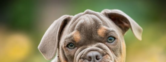 Pron&oacute;stico del Tiempo para este viernes 20 de febrero de 2026