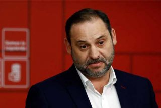 El loro, la cotorra y el papagayo