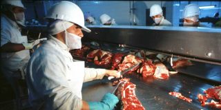 Trabajadora cae en una procesadora de carne y muere despedazada