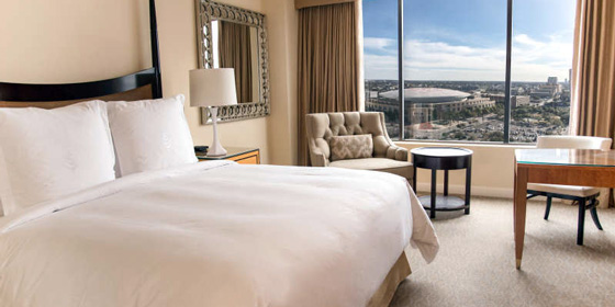 Houston: Hoteles que admiten mascotas