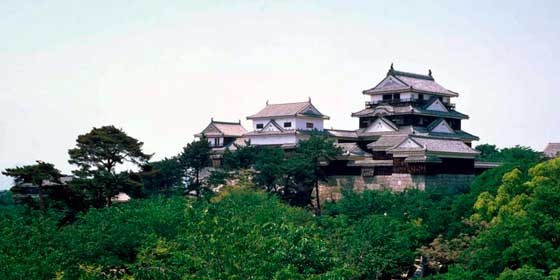Qué ver y hacer en Matsuyama, Japón
