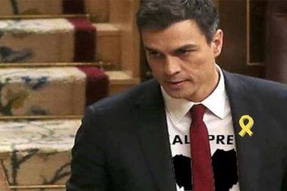 Salvador Monz&oacute; Romero:"Algod&oacute;n en rama"