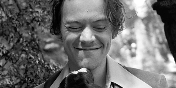 PRADA se actualiza y deja de usar pieles en sus colecciones