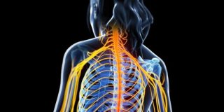 Esclerosis M&uacute;ltiple