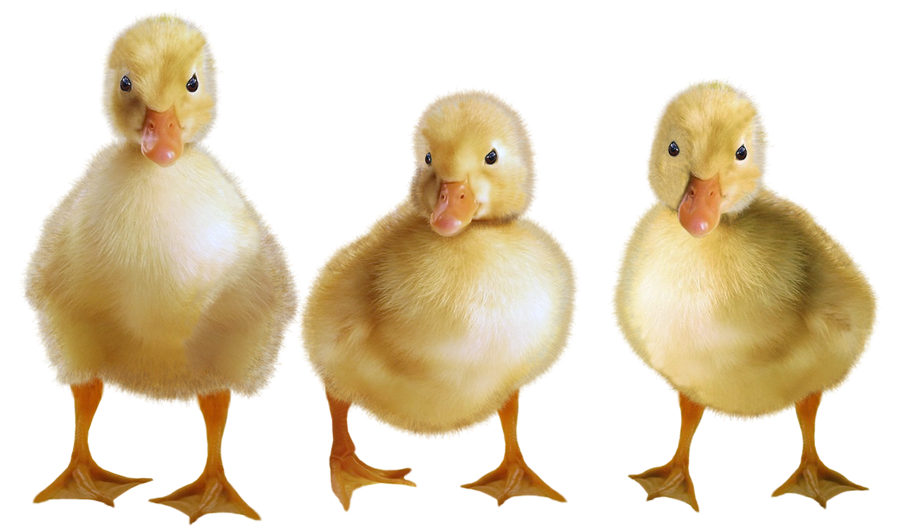 Pron&oacute;stico del Tiempo: un d&iacute;a casi primaveral este 31 de octubre de 2020