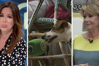 El rid&iacute;culo espantoso que hace Mamen Mendizabal tratando de burlarse de Esperanza Aguirre, D&iacute;az Ayuso y El Pecas: "&iexcl;Qu&eacute; disgusto me est&aacute; dando!"