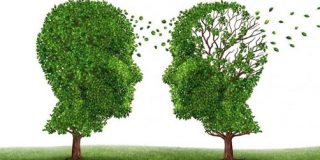 Antes que llegue el alzheimer