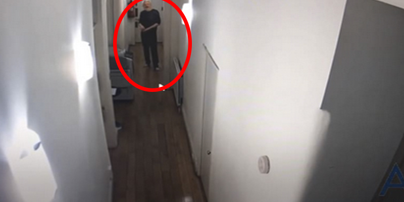 Wikileaks, las 'cochinadas' de Assange, un periodista espa&ntilde;ol con ansias de dinero y varios caraduras