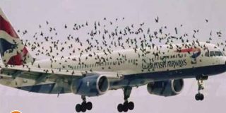 Pronóstico del Tiempo en España: viernes 14 de noviembre de 2025