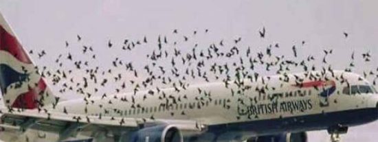 Pron&oacute;stico del Tiempo: la borrasca Pedro arrasa Espa&ntilde;a con vientos huracanados este jueves 19 de febrero del 2026