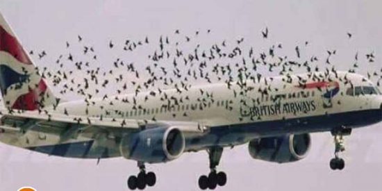 Pron&oacute;stico del Tiempo: la borrasca Pedro arrasa Espa&ntilde;a con vientos huracanados este jueves 19 de febrero del 2026