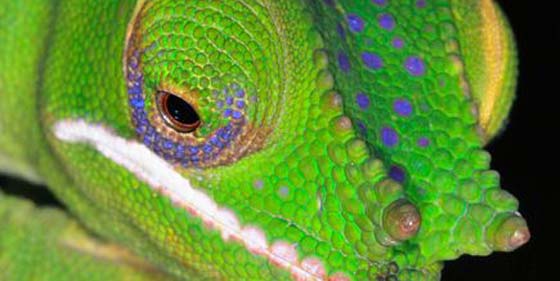 Salvador Monzó Romero: "Dentro y fuera"