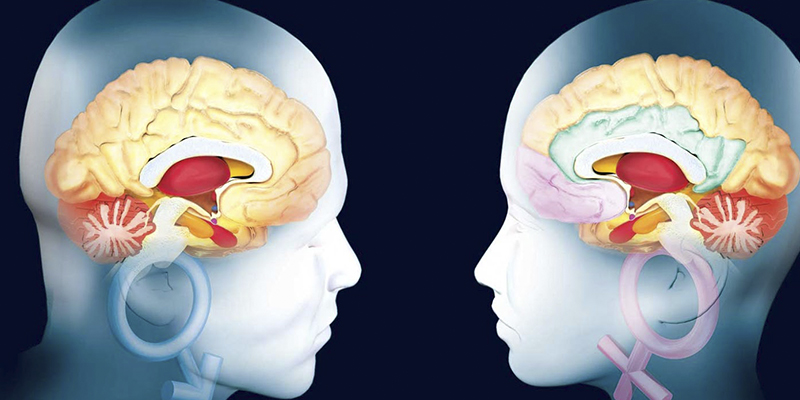 La dieta y su impacto en la salud mental
