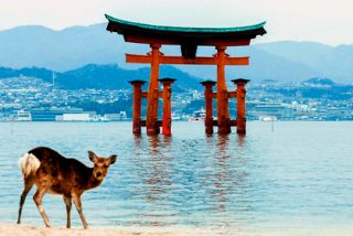 &iquest;Necesito visado para entrar de turista a Jap&oacute;n?