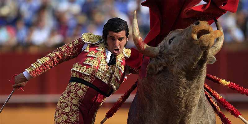 El in&eacute;dito gesto de Morante antes de entrar a matar: seca las l&aacute;grimas del toro con un pa&ntilde;uelo