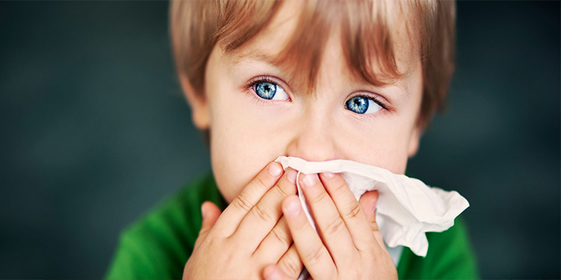 Alergólogos e inmunólogos pediátricos aseguran que las intolerancias alimentarias no causan anafilaxia