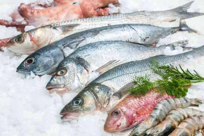 Pescado para no volverse loco