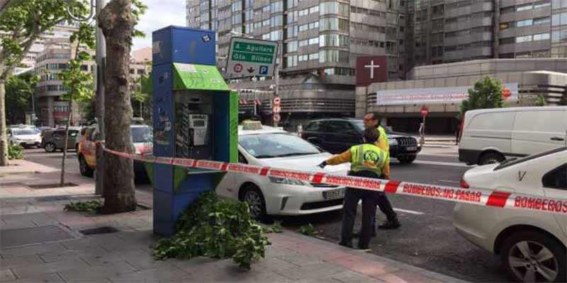 Herido grave un taxista en Madrid al caerle encima una gran rama de un &aacute;rbol rota por el viento