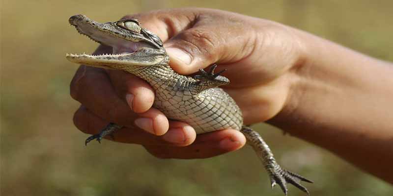 Pron&oacute;stico del Tiempo para este mi&eacute;rcoles 4 de febrero de 2026